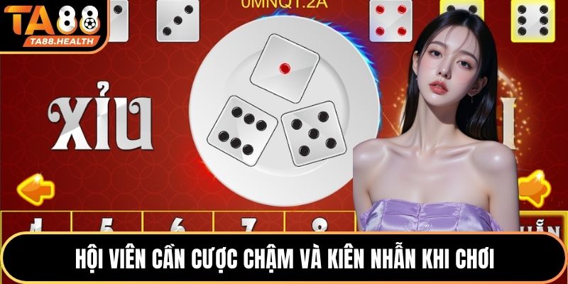 Hội viên cần cược chậm và kiên nhẫn khi chơi