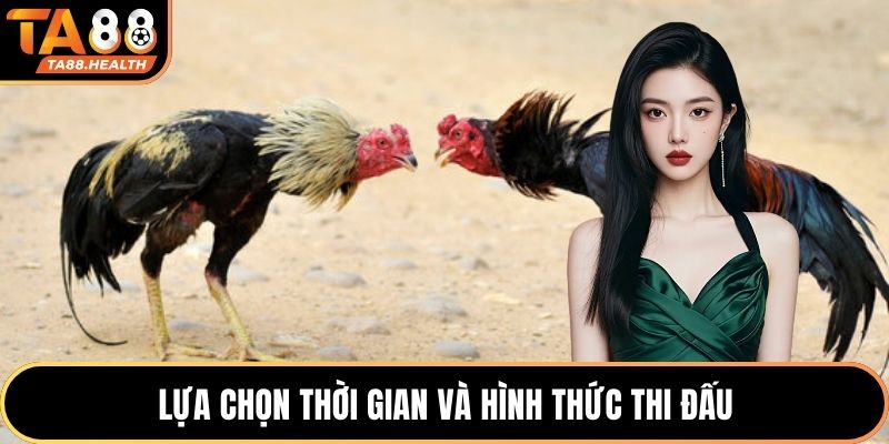 Lựa chọn thời gian và hình thức thi đấu