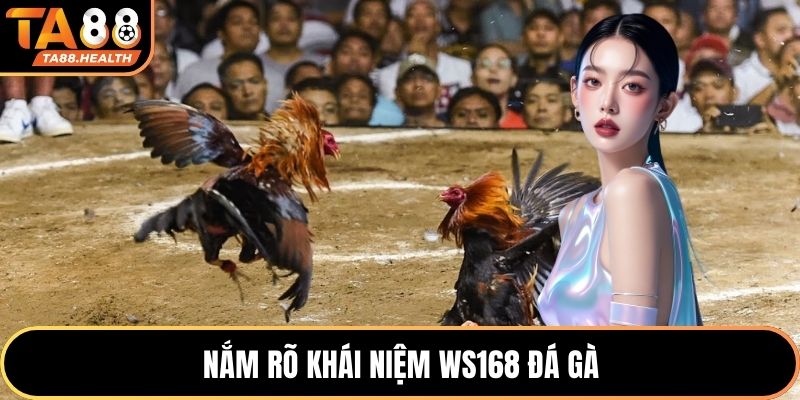 Nắm rõ khái niệm Ws168 đá gà
