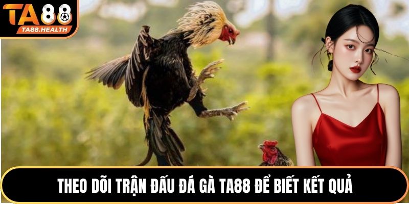 Theo dõi trận đấu đá gà TA88 để biết kết quả