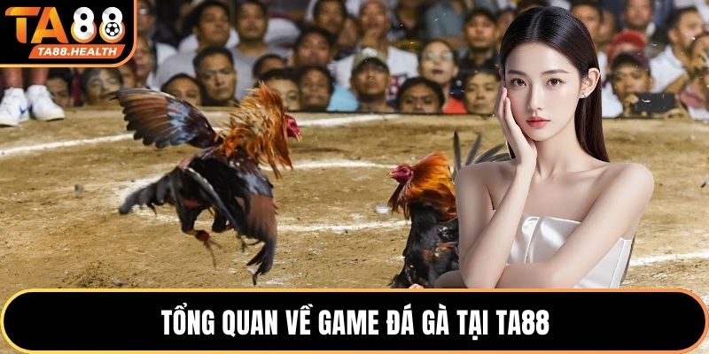 Tổng quan về game đá gà tại TA88