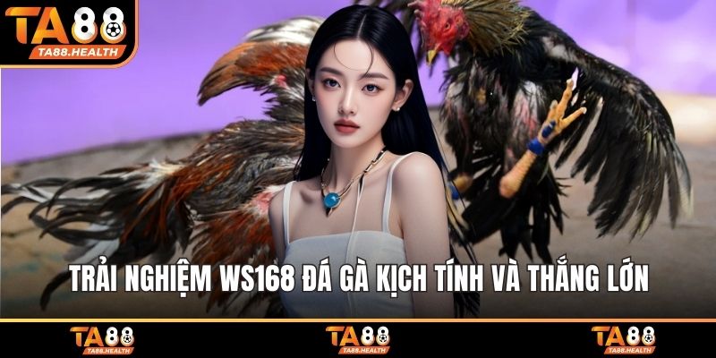 Ws168 Đá Gà